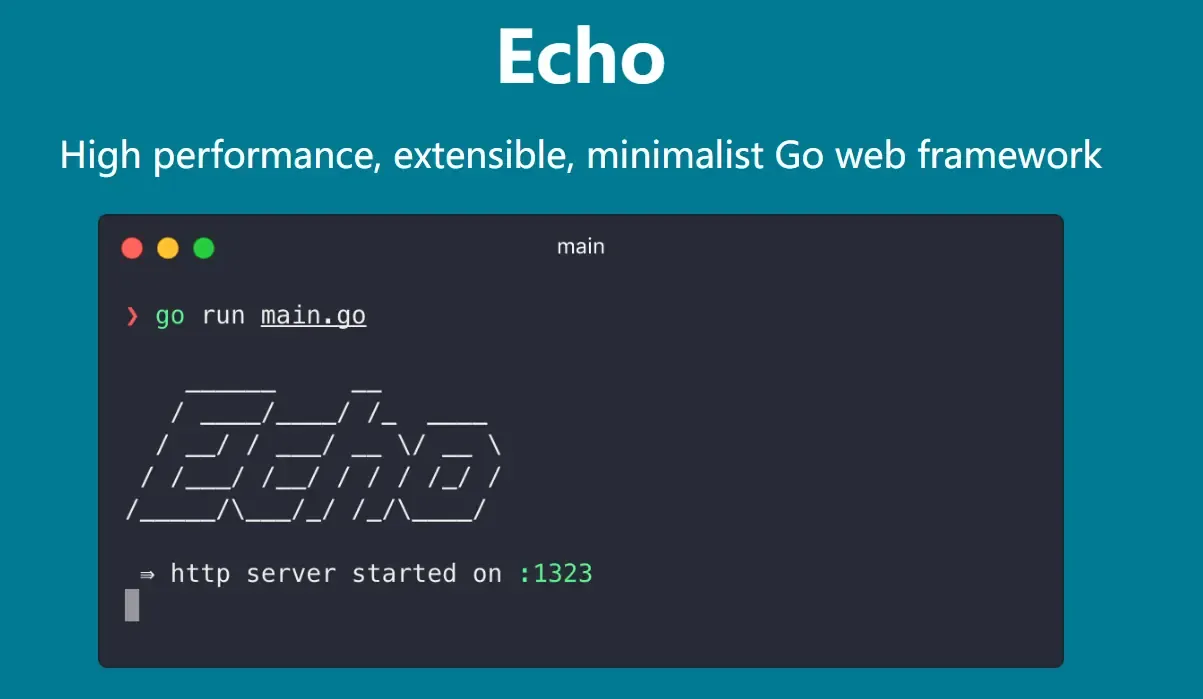 Echo