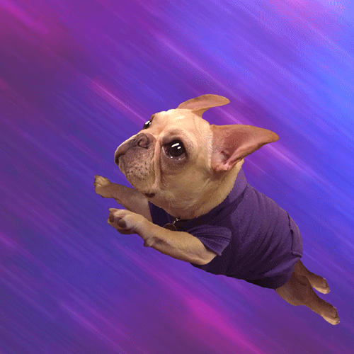 GIF Animation Example